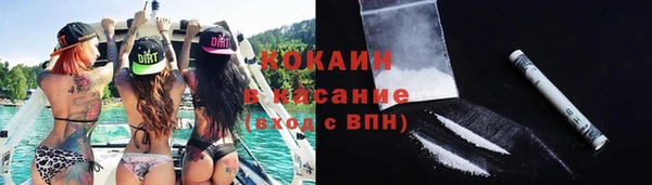 гашик Алзамай