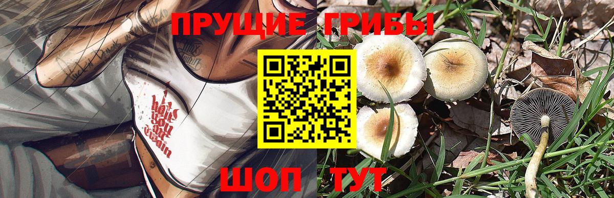 Псилоцибиновые грибы прущие грибы Донецк
